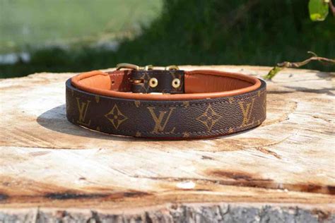 louis vuitton spiked dog collar|louis vuitton dog lead.